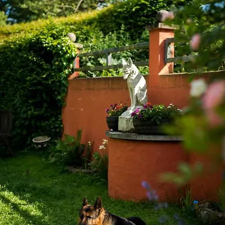 Bed & Breakfast Um Freedebierg *